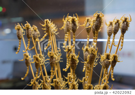 Fried scorpion for sale at a food stall in China Fried scorpion for sale at a food stall in China 42022092