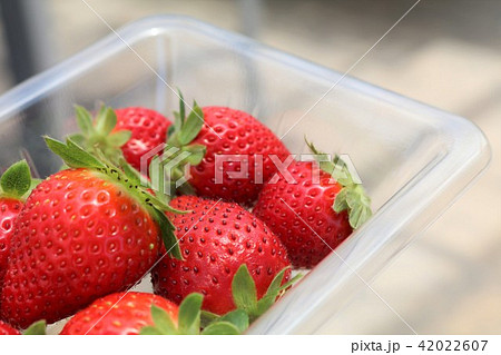 いちご狩りパック 42022607