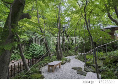 一条恵観山荘の庭園沿いに流れる滑川(鎌倉市浄明寺) 一条恵観山荘の庭園沿いに流れる滑川(鎌倉市浄明寺) 42023311