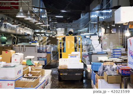 築地　場内市場 42023599