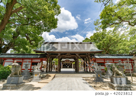 宇美八幡宮 42023812