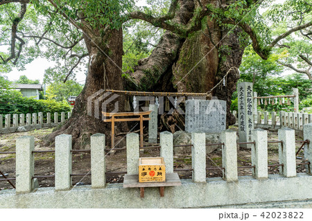 宇美八幡宮 42023822