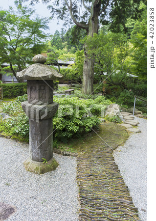 一条恵観山荘の庭園（鎌倉市浄明寺） 42023858