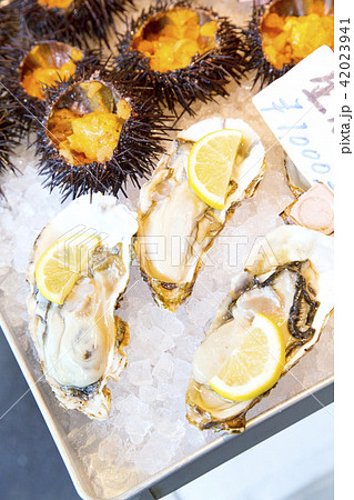 築地場外市場 「築地魚河岸」海幸橋棟で売られていたウニと牡蠣 築地場外市場 「築地魚河岸」海幸橋棟で売られていたウニと牡蠣 42023941