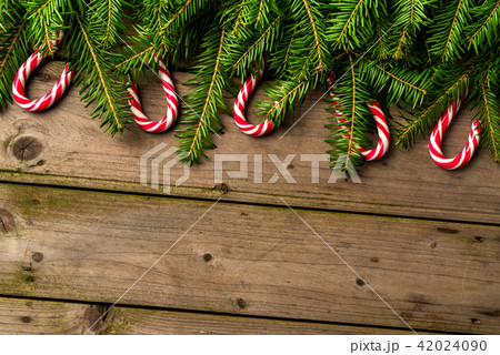 Christmas background with tree and candy canes Christmas background with tree and candy canes 42024090