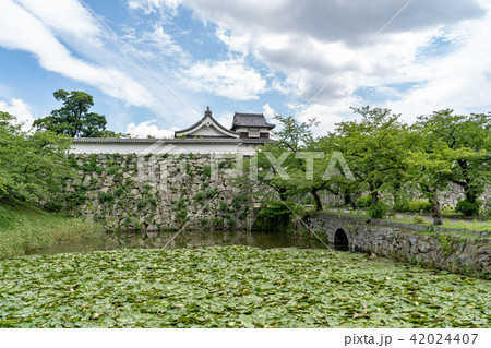 福岡城 下之橋御門と潮見櫓 福岡城 下之橋御門と潮見櫓 42024407