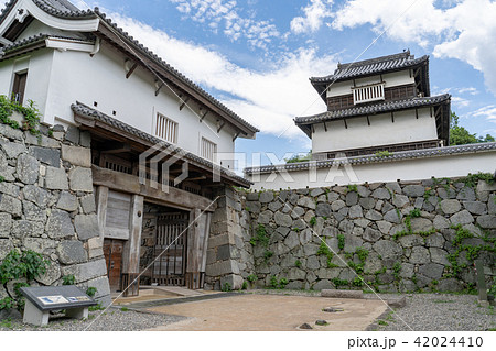 福岡城　下之橋御門と潮見櫓 42024410