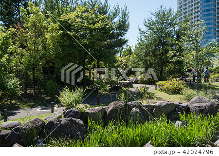 帰真園 世田谷区立二子玉川公園 都民の憩いの日本庭園 帰真園 世田谷区立二子玉川公園 都民の憩いの日本庭園 42024796