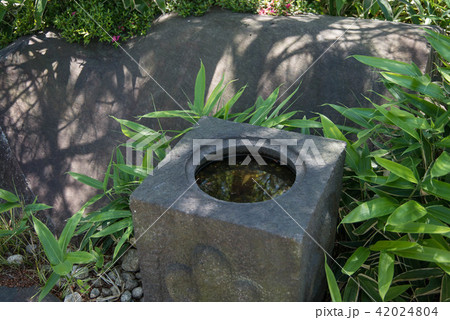 帰真園 世田谷区立二子玉川公園 都民の憩いの日本庭園 帰真園 世田谷区立二子玉川公園 都民の憩いの日本庭園 42024804