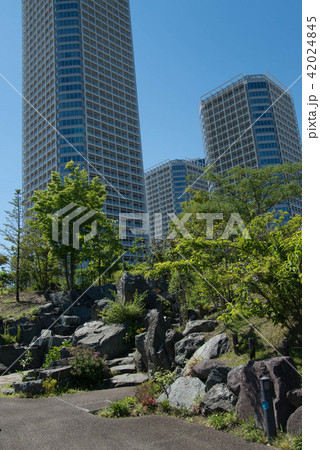帰真園 世田谷区立二子玉川公園 都民の憩いの日本庭園 帰真園 世田谷区立二子玉川公園 都民の憩いの日本庭園 42024845