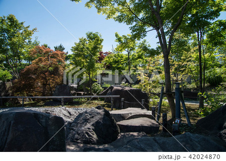 帰真園　世田谷区立二子玉川公園　都民の憩いの日本庭園 42024870
