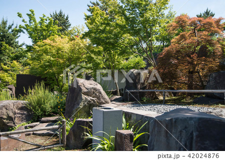 帰真園 世田谷区立二子玉川公園 都民の憩いの日本庭園 帰真園 世田谷区立二子玉川公園 都民の憩いの日本庭園 42024876