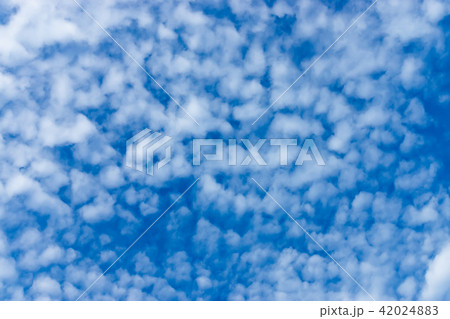 White cloud on the sky White cloud on the sky 42024883