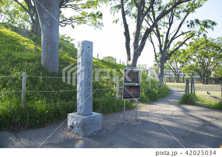 野毛大塚古墳 野毛大塚古墳 42025034