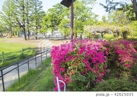 玉川野毛町公園 玉川野毛町公園 42025035