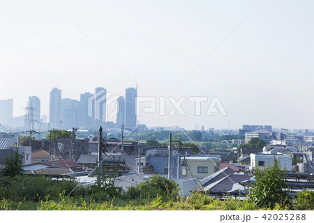 世田谷区野毛周辺の住宅街 42025288