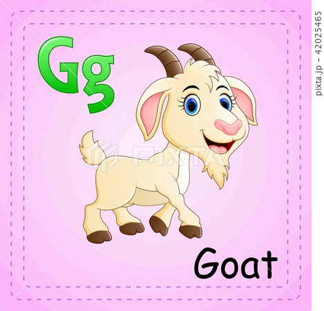 Animals alphabet: G is for Goat Animals alphabet: G is for Goat 42025465