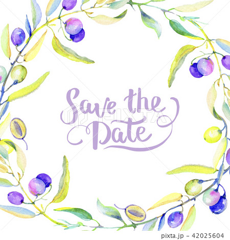 Olive branches in a watercolor style. Frame border ornament square. Olive branches in a watercolor style. Frame border ornament square. 42025604