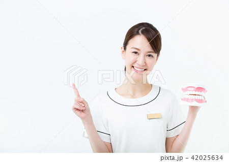 審美歯科スタッフ 42025634