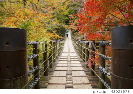 花貫渓谷　汐見滝吊り橋 42025678