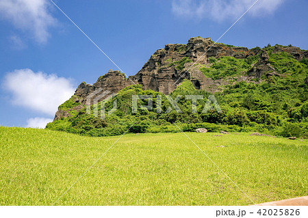 城山日出峰 42025826