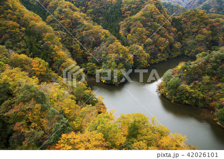 竜神大吊橋から見た竜神ダム 竜神大吊橋から見た竜神ダム 42026101