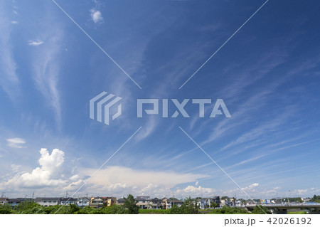 夏空 雲 住宅街 夏空 雲 住宅街 42026192