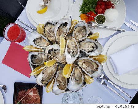 Fresh oysters platter with sauce and lemon Fresh oysters platter with sauce and lemon 42026448