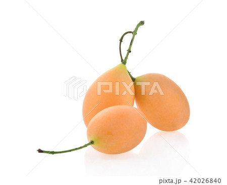 Marian plum or Plango thai fruit isolated Marian plum or Plango thai fruit isolated 42026840