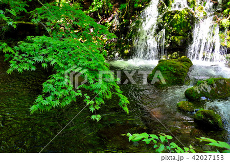 元滝伏流水 秋田県 元滝伏流水 秋田県 42027153