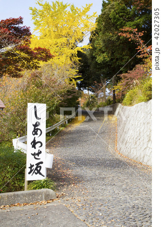 茨城県護国神社　しあわせ坂 42027305