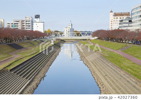 水戸市内を流れる桜川 42027360