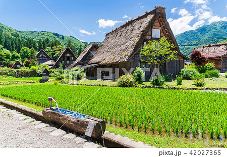 夏の白川郷の写真素材