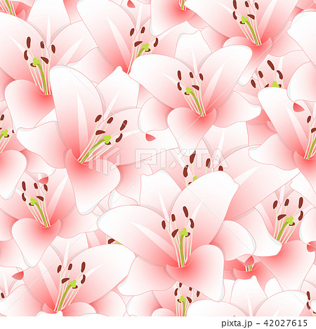 Pink Lily Flower Seamless Background 42027615