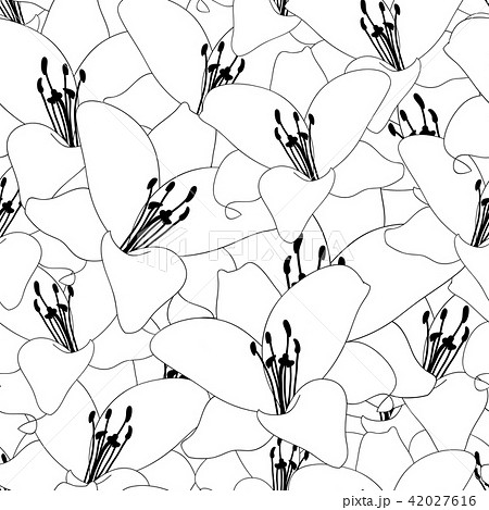 Lily Flower Outline Seamless Background 42027616