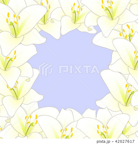 White Lily Flower Border on Purple Background 42027617