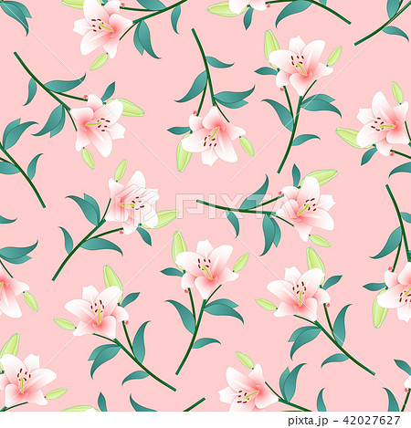 Pink Lily on Pink Background 42027627