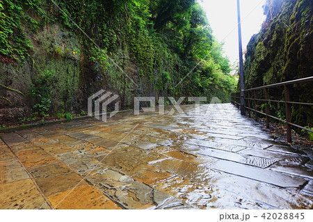 雨に濡れたオランダ坂　長崎県長崎市 42028845