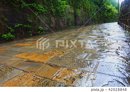 雨に濡れたオランダ坂　長崎県長崎市 42028848