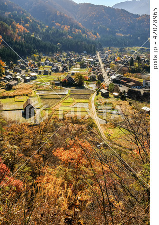 秋の白川郷 42028965