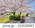 桜とバス停とベンチ 42028983