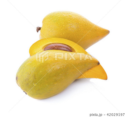 Egg fruit, Canistel, Yellow Sapote  (Kunth) 42029197