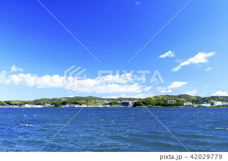小和田湾の初夏 42029779