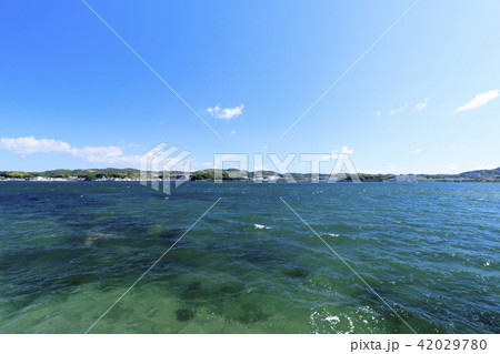小和田湾の初夏 42029780