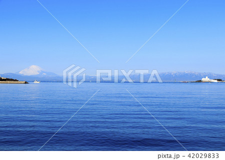 小和田湾の初夏 42029833