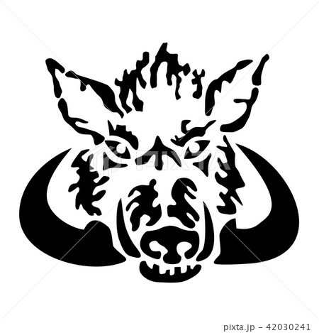 Wild boar head Wild boar head 42030241