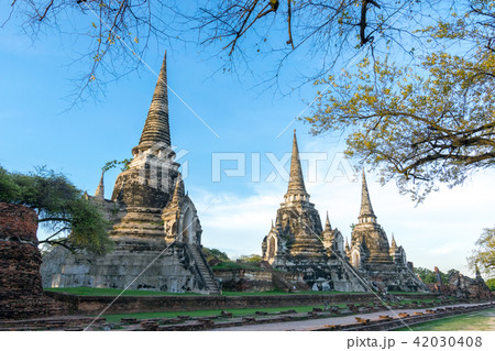 The three Chedis of Wat Phra Si Sanphet, Thailand The three Chedis of Wat Phra Si Sanphet, Thailand 42030408
