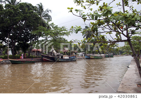 Hamilton Canal Sri Lanka 42030861