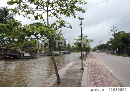 Hamilton Canal Sri Lanka 42030862