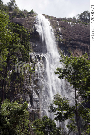 Diyaluma water falls Sri Lanka Diyaluma water falls Sri Lanka 42030871